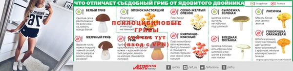 твердый Абаза