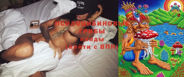 гашик Алзамай