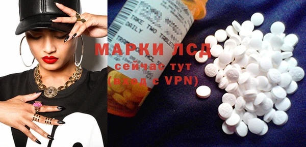 гашик Алексин