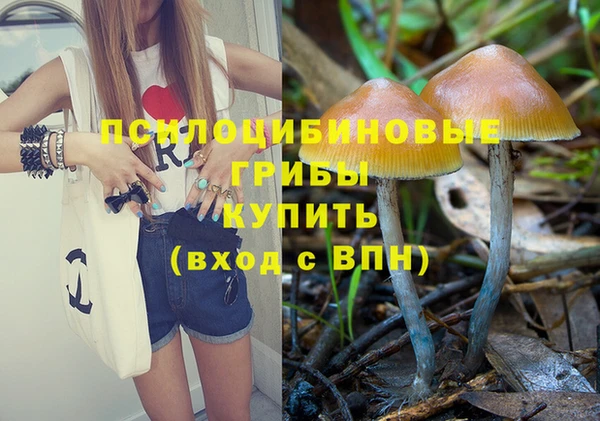 ПСИЛОЦИБИНОВЫЕ ГРИБЫ Абинск